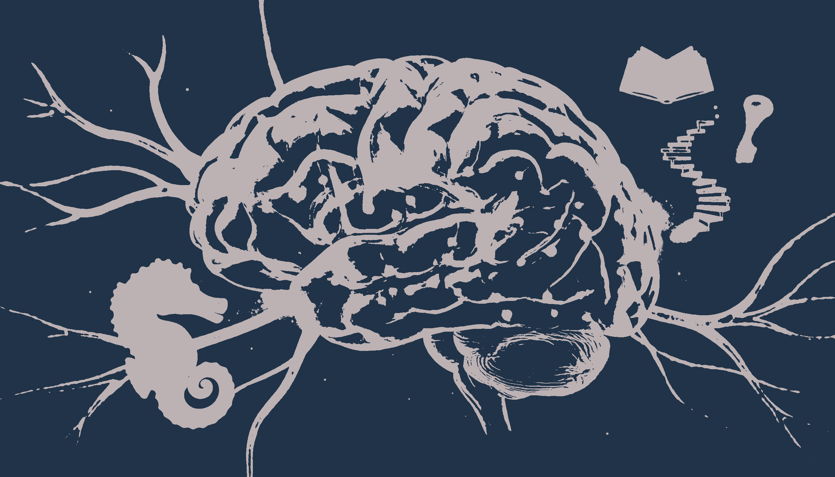 Brain Development and Memory Enhancement